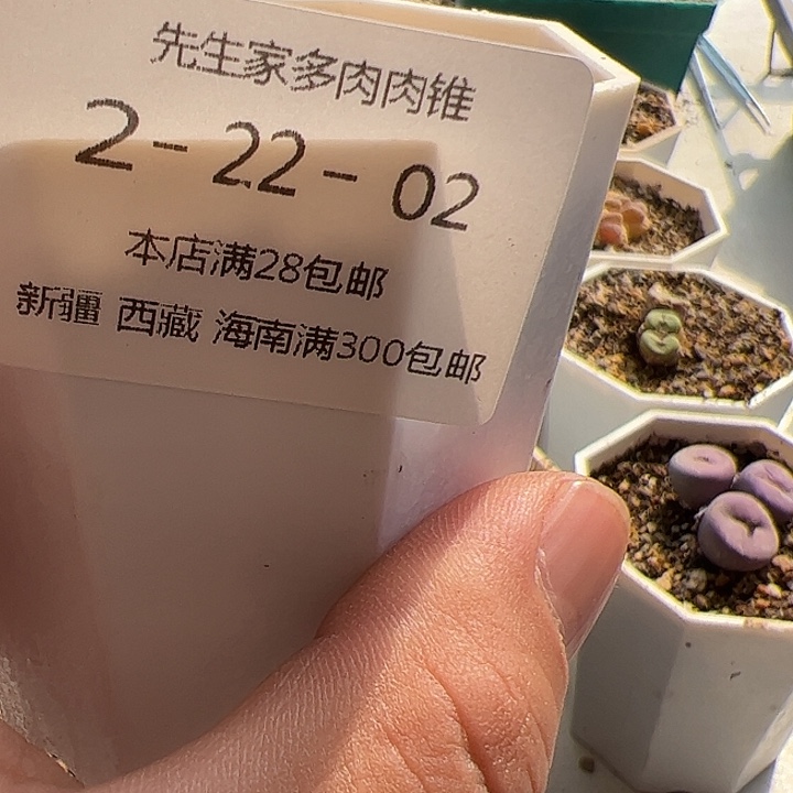 美丽的肉肉肉肉肉肉肉肉