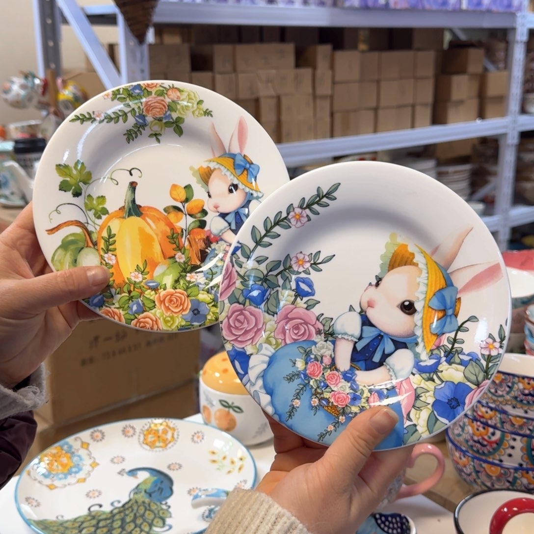 陶瓷6.5 英寸盘子两只看图