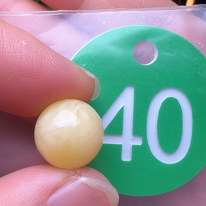 蜜蜡裸石未镶嵌11.5m m