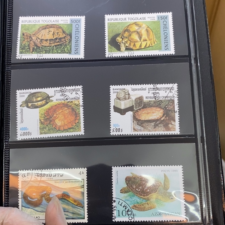 瓷片哦哦哦哦哦哦哦哦哦