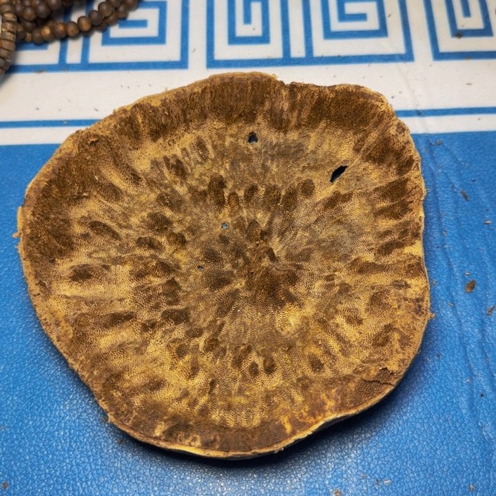 松木博****馆手工艺雕塑根雕木方板材79克