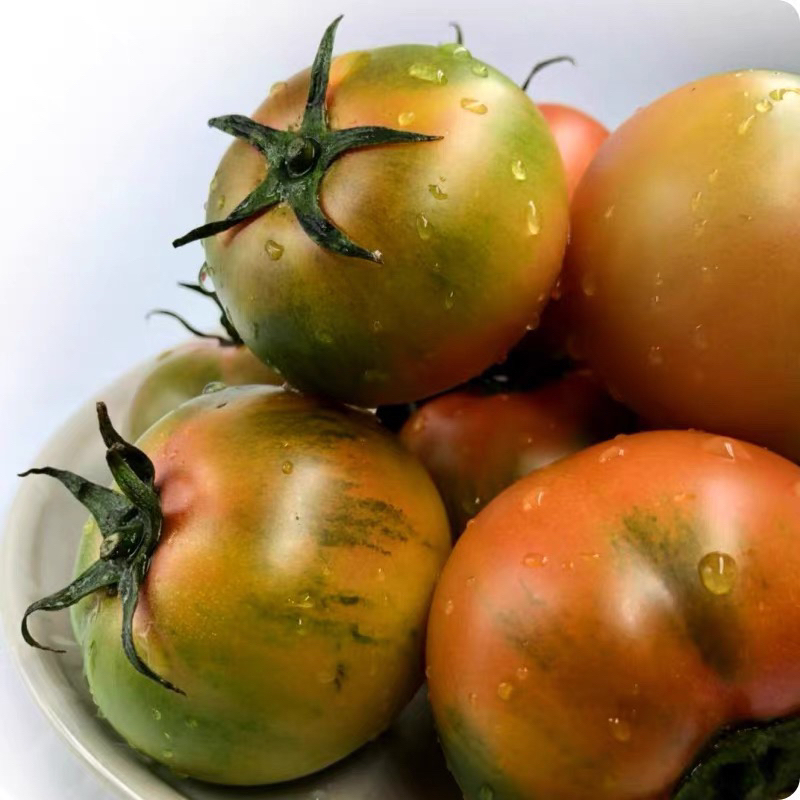 盘锦碱地柿子碱地西红柿 现摘番茄铁皮柿子草莓柿子酸甜口感顺丰