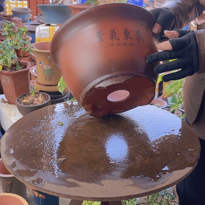 紫砂宜兴紫砂紫气东来30