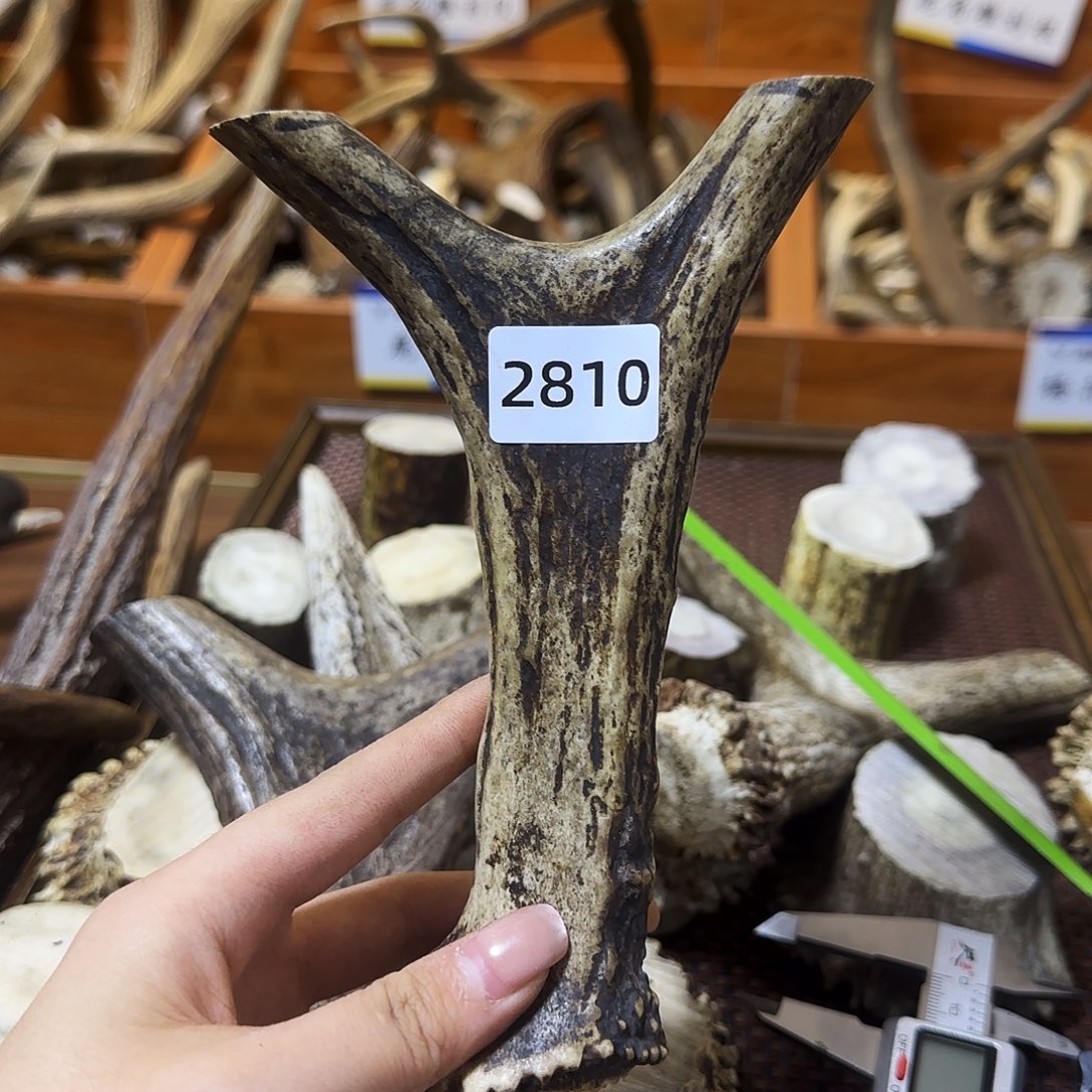 手串/手链鹿骨弹弓2810