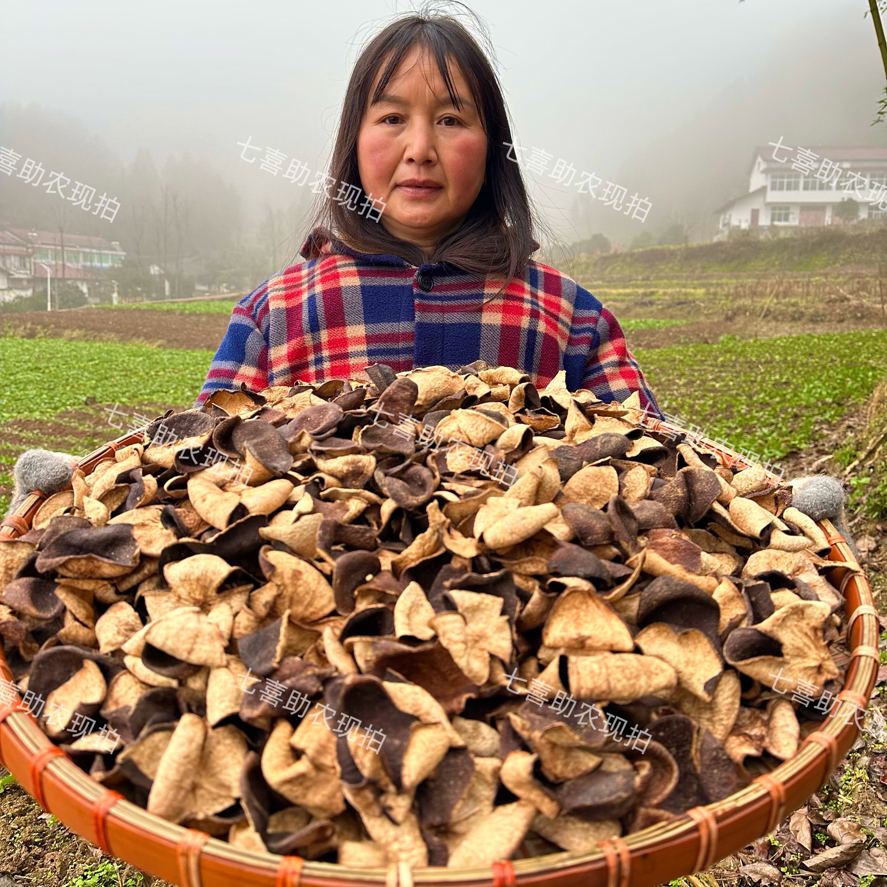 【现收陈皮】泡茶煲汤