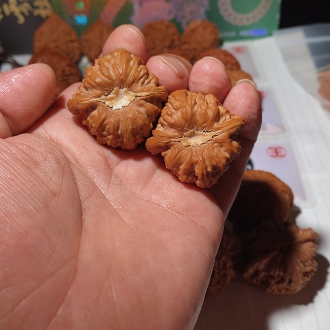 ****意把件文玩核桃白狮子
