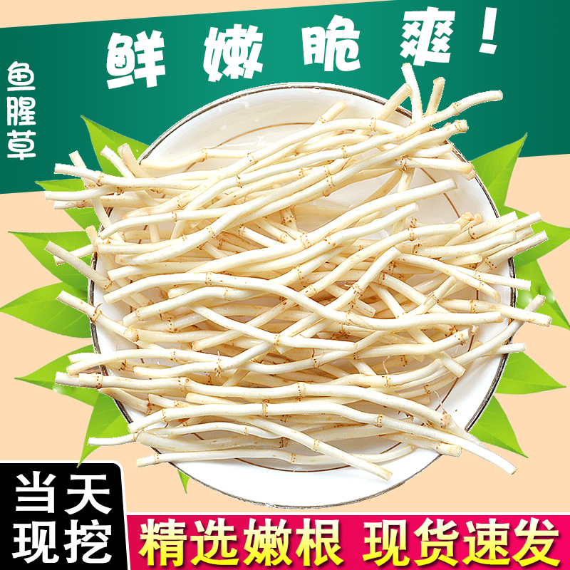 【新根上市】农家鱼腥草新货新鲜折耳根嫩根中药材湖北节儿根蔬菜