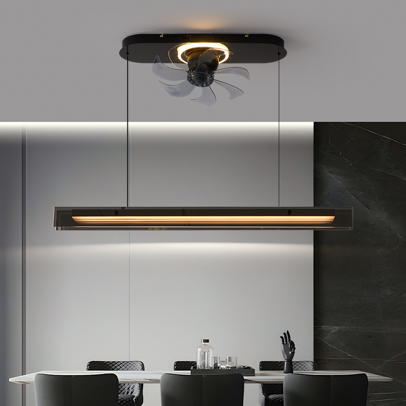 2025新款餐厅灯中山灯具餐桌灯餐厅吊灯创意意式极简风扇灯吊扇灯