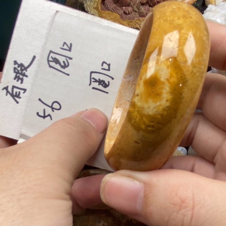 硅化珊瑚（珊瑚玉）未镶嵌颈饰