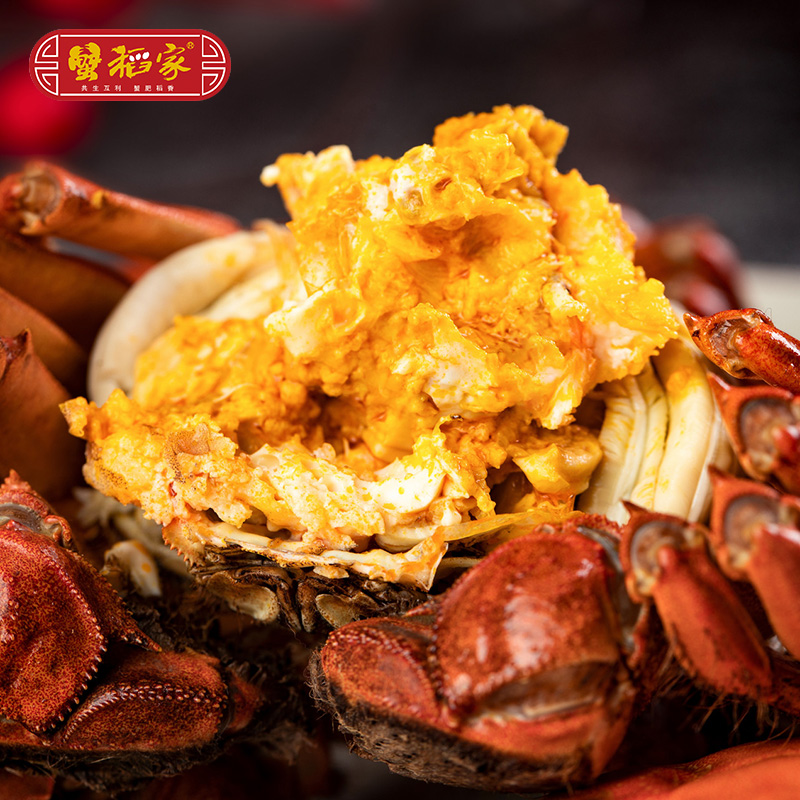 【活蟹】大闸蟹 公蟹（3-3.3两）10只