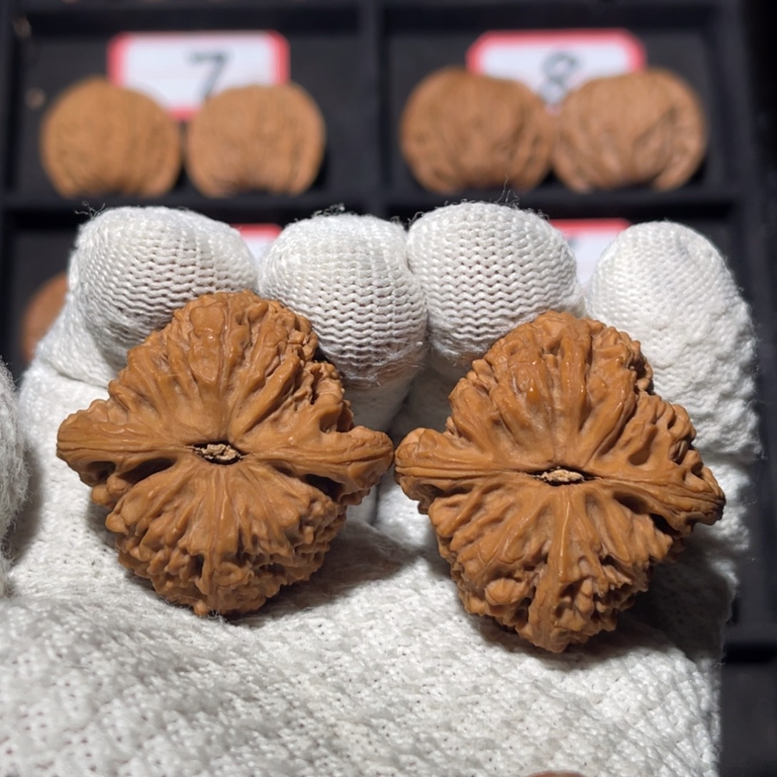 喵***七文玩核桃吊坠03秦皇岛山地果全品