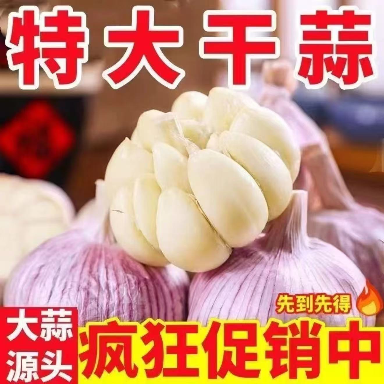 正宗紫白皮大蒜新鲜干蒜农产品生鲜特产