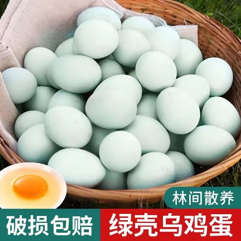 京东/顺丰包邮新鲜绿壳乌鸡蛋虫草蛋土鸡蛋农家散养笨鸡蛋