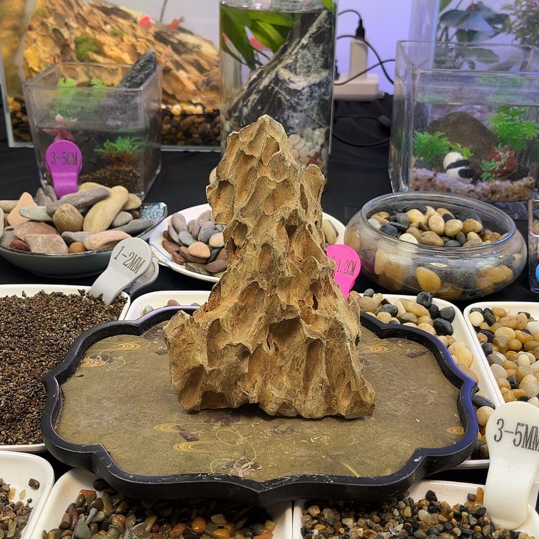 松皮石鱼缸造景一物一拍