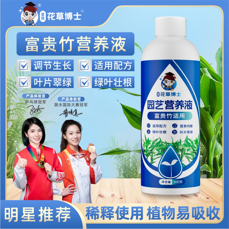 富贵竹适用养花营养液改善土壤环境促进植物生长园艺养花营养液