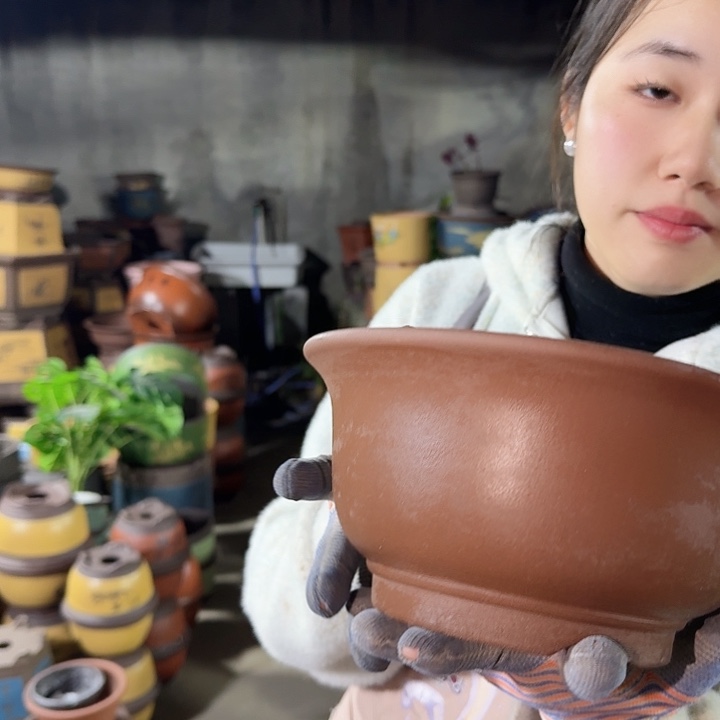 我***谁21查林小碗花盆花盆花盆