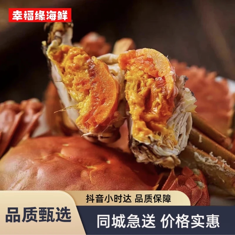 【2.5-2.3两】鲜活大闸蟹 公母任选 北京同城小时达 6只-16只