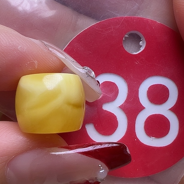 蜜蜡未镶嵌珠宝奇石微瑕12.5mm直切