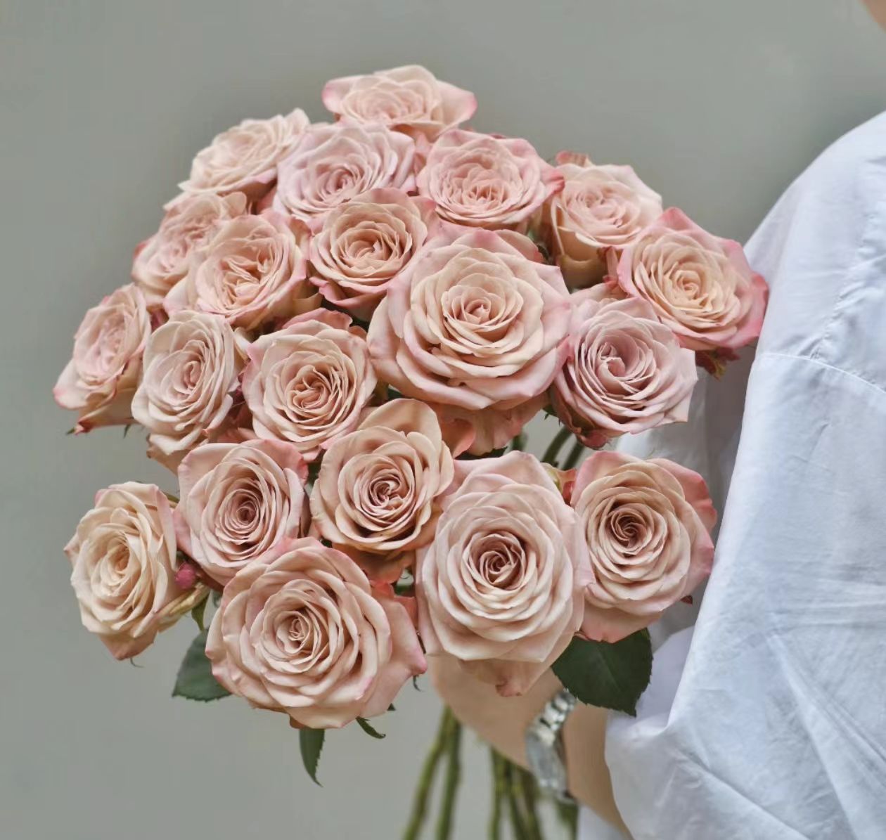 【卡布奇诺玫瑰】云南直发玫瑰鲜花两单京东冷链包邮