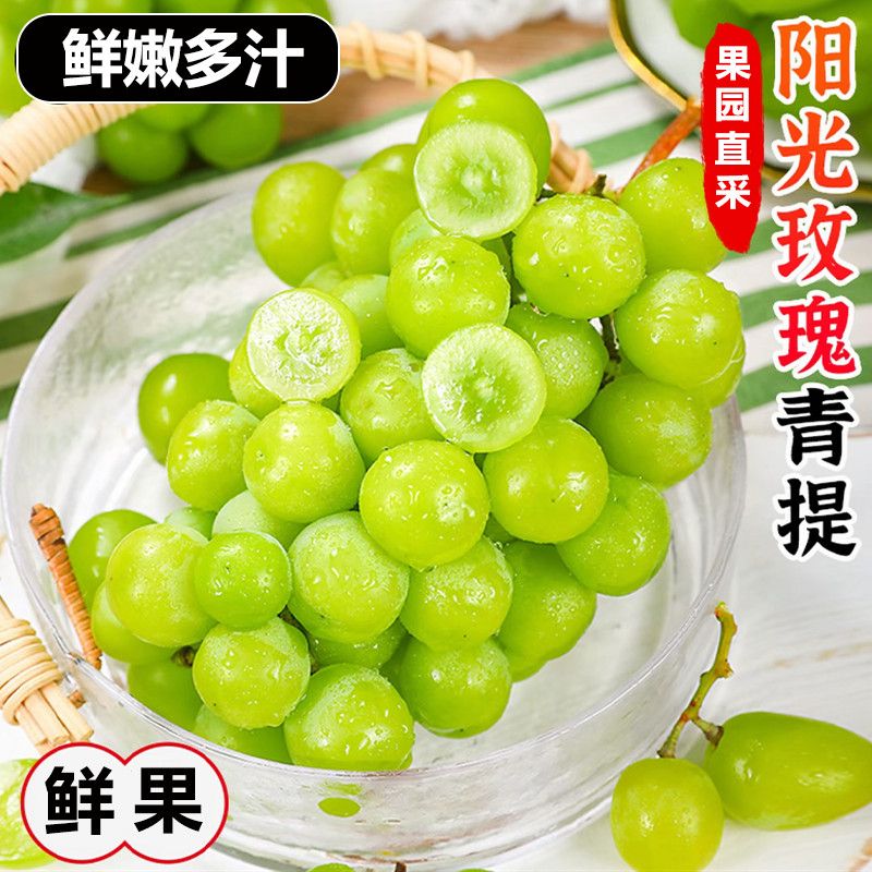阳光玫瑰青提新鲜无籽提 多仓发货 坏果包赔 有掉粒属于正常 介意勿拍 B-y四川省