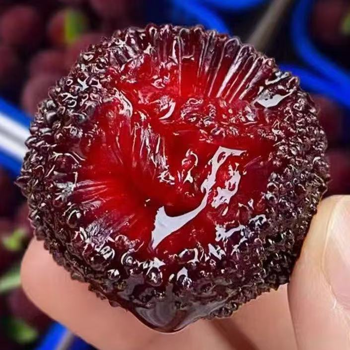 【送货上门】正宗漳州【东魁杨梅】（篮子装）新鲜采摘当季水果空运WD3