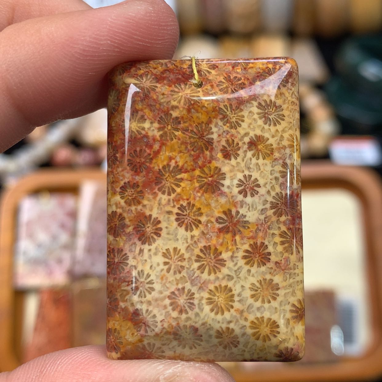 【闪购商品】硅化珊瑚（珊瑚玉）手镯未镶嵌