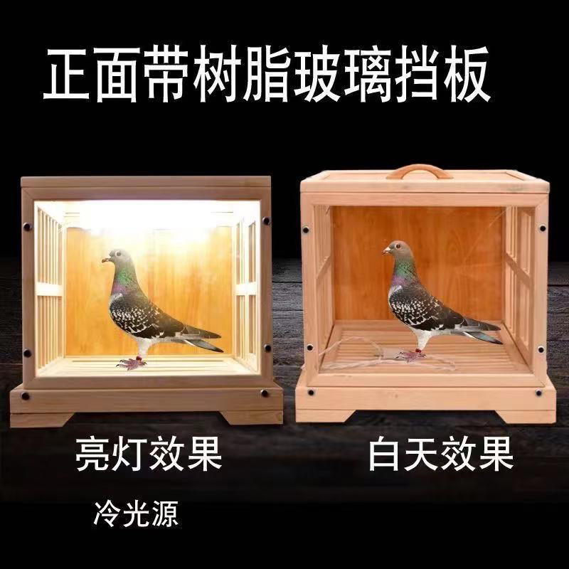 鸽子展示笼小型宠物展示笼直播笼实木展示笼实体商品展