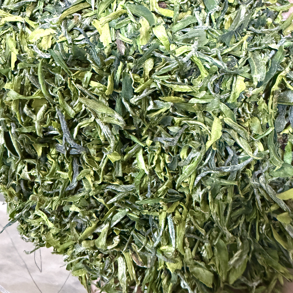 2025信阳雨前茶片