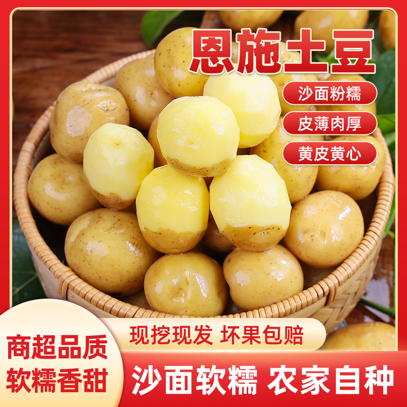 【新土豆】湖北恩施小土豆现挖农家黄心小土豆净重5/9斤洋芋马铃薯