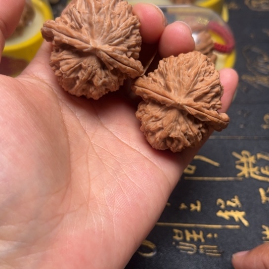 40尺白狮子全品无修