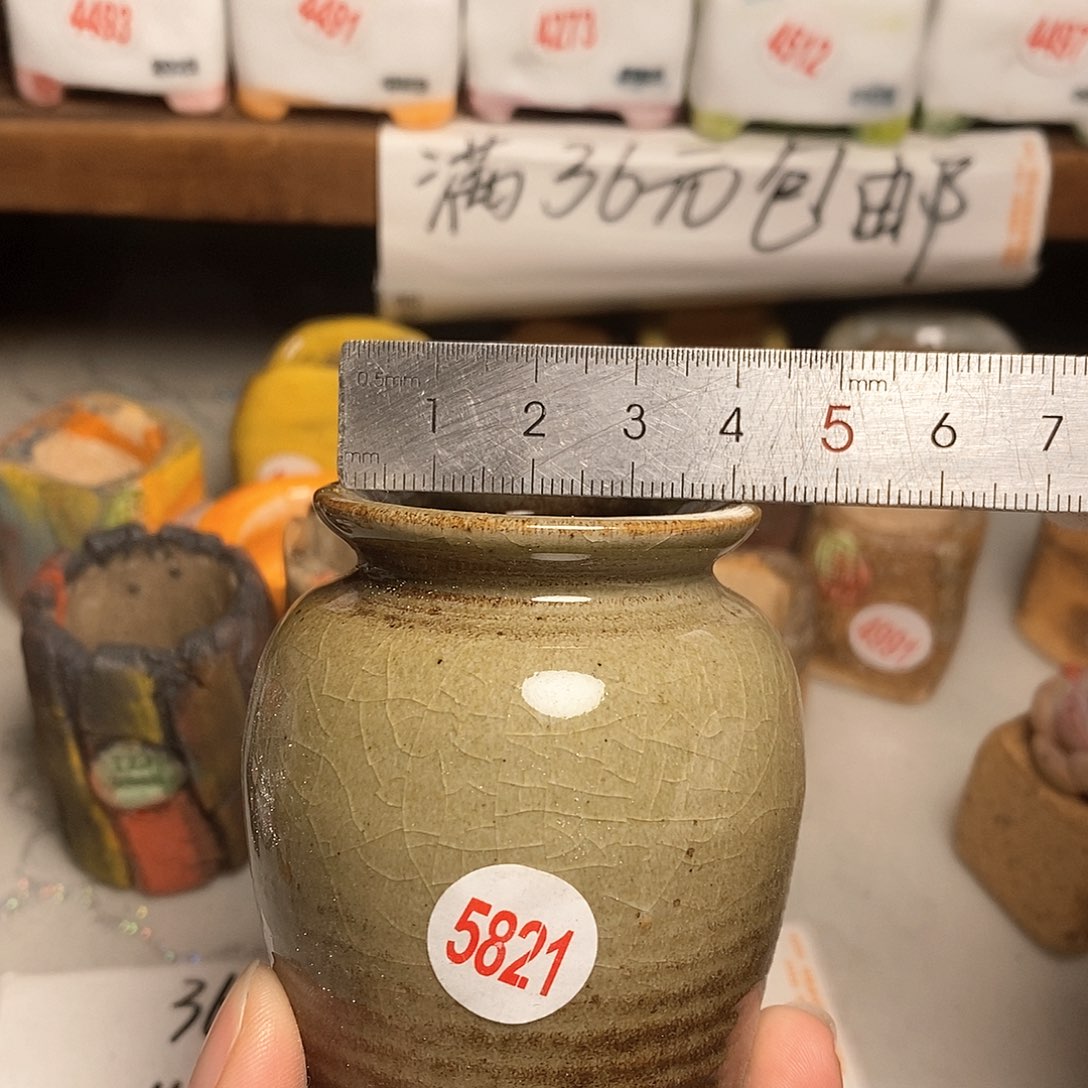 红陶拍5送一个小