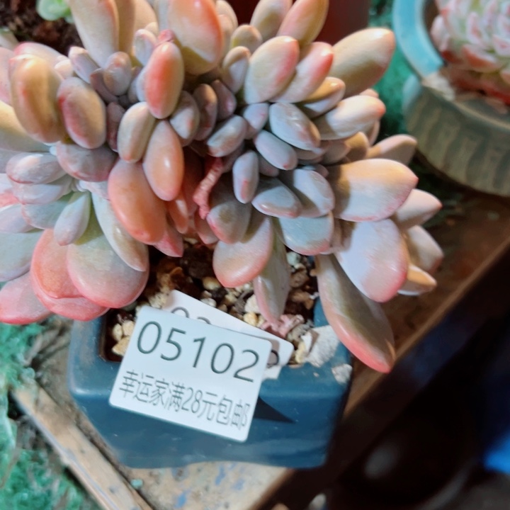 幸运的是我还没遇到