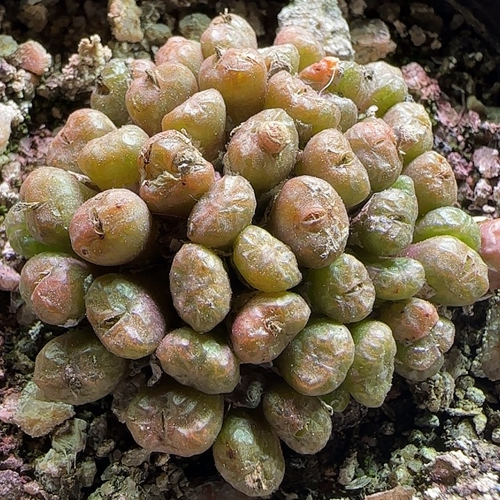 开播福利来啦。  368