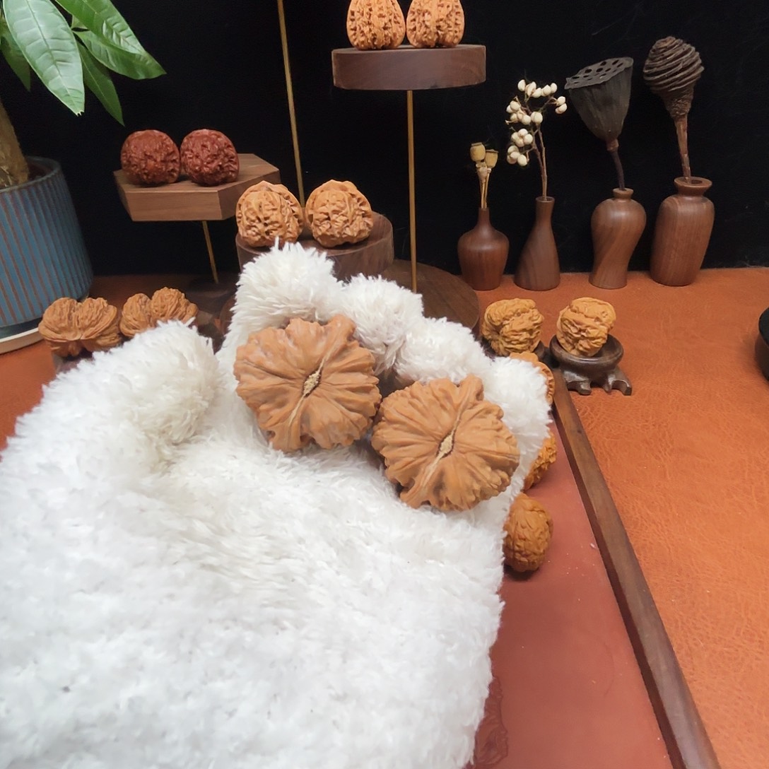 d***r手串/手链核桃全品白狮子