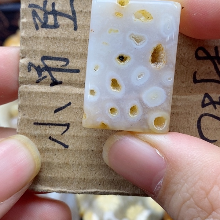 硅化珊瑚（珊瑚玉）颈饰未镶嵌
