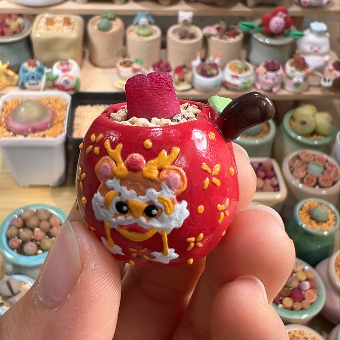 多肉植物10号拇指盆