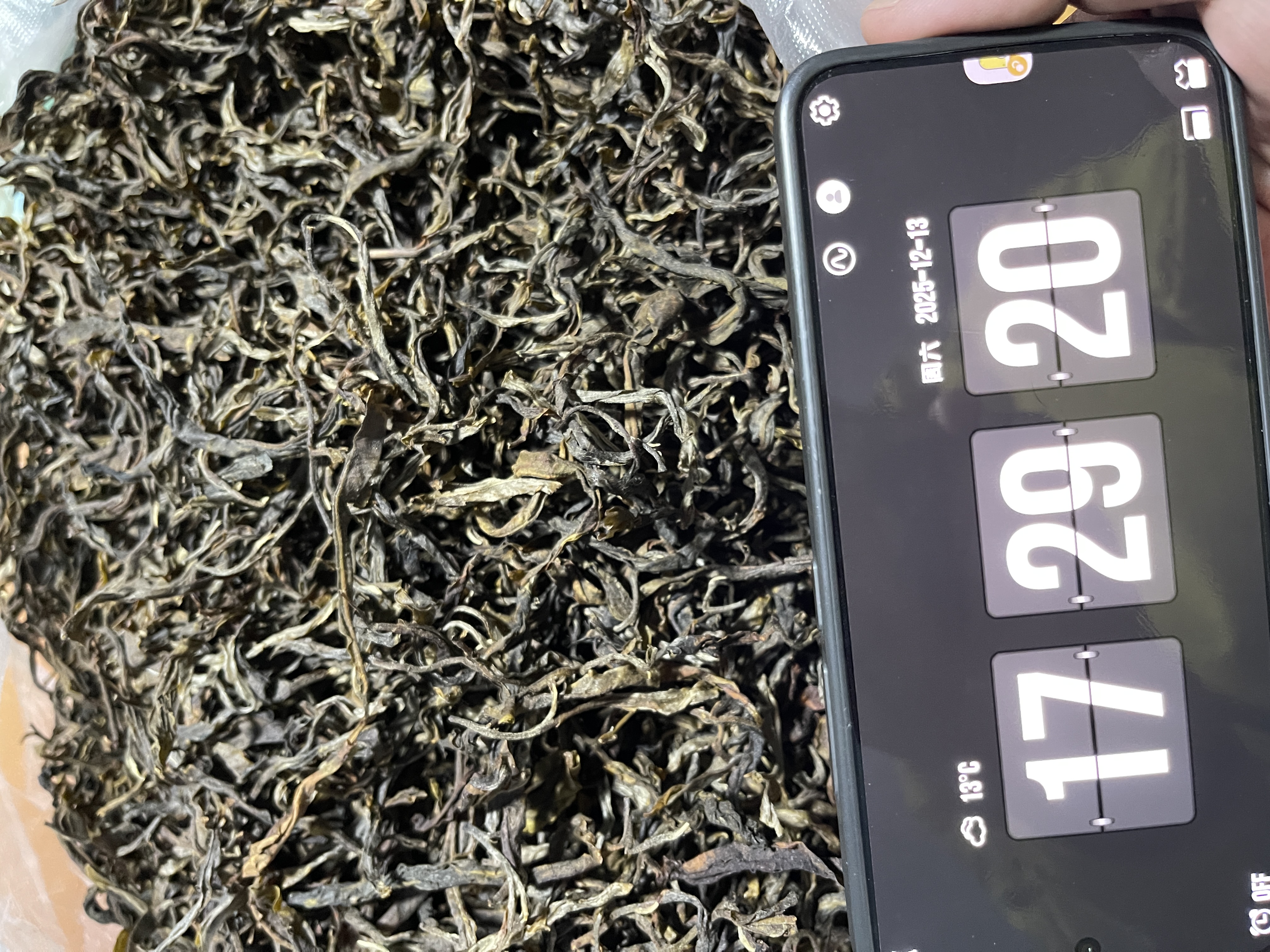 x1 2025年香竹箐千年古树单株春茶 散茶生茶 普洱茶 25/12/13