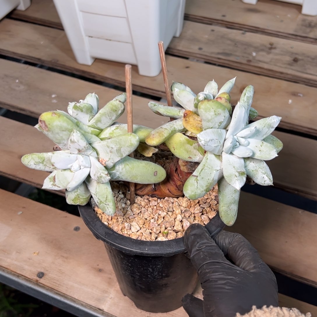 4617哈哈哈哈哈哈哈哈