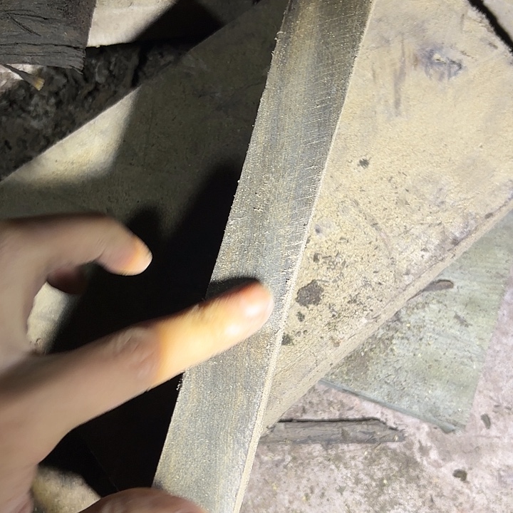 金丝楠啊啊啊啊啊啊啊