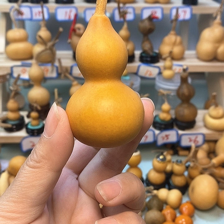 Z*直播间手把小葫芦