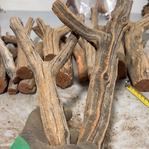 大果紫檀（缅甸花梨）临****）