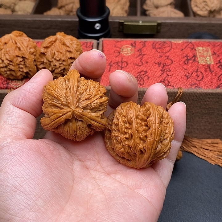 东***把件文玩核桃白奔