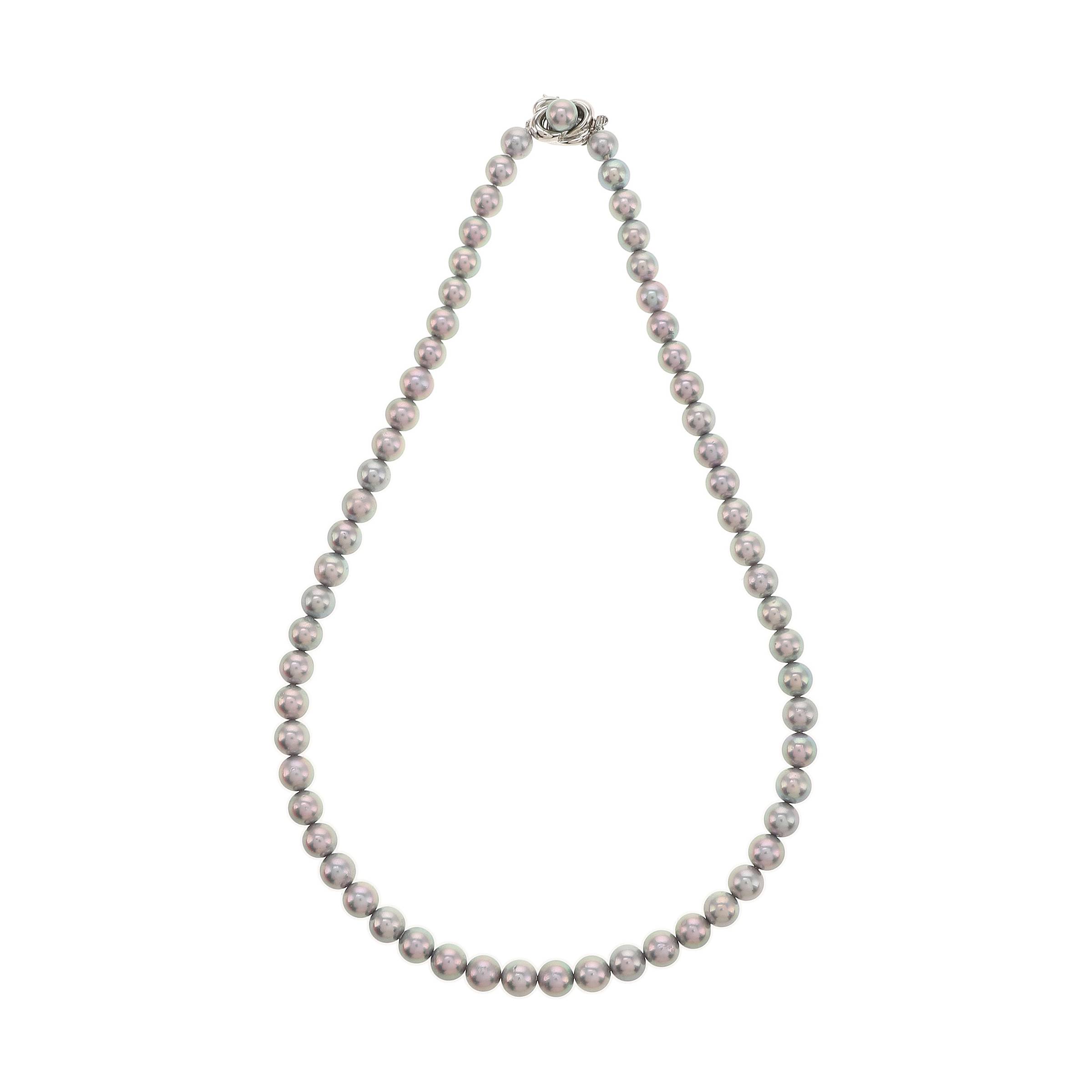 红布林/C1/塔思琦/34534818/z/121716