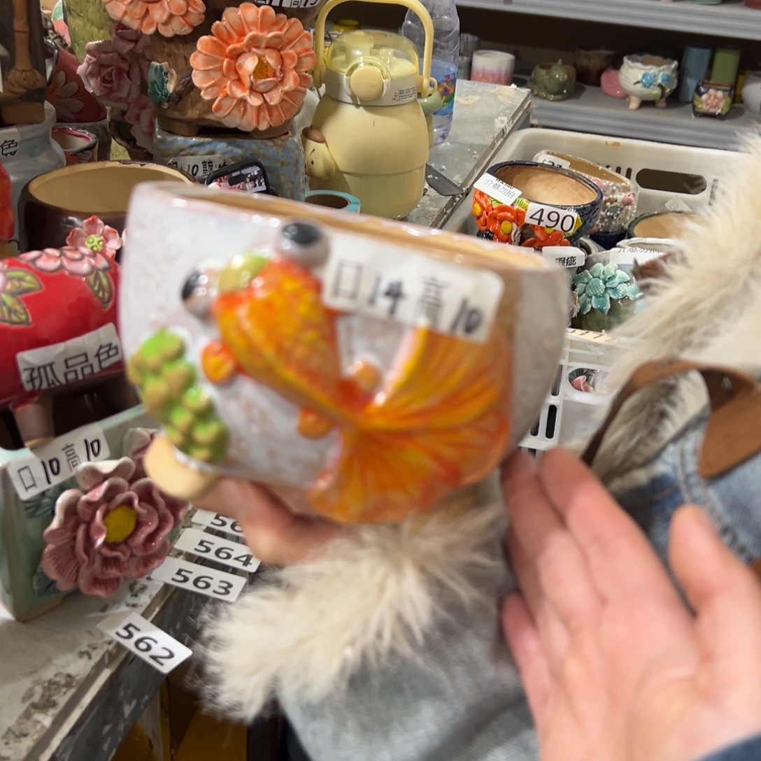 满20米秒退拉黑花盆