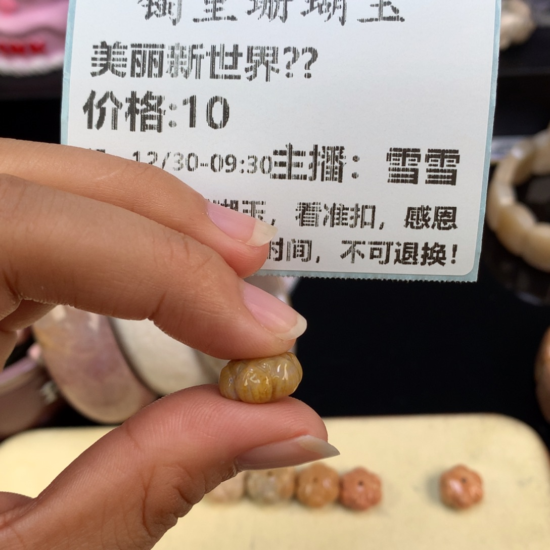 美***界硅化珊瑚（珊瑚玉）未镶嵌颈饰