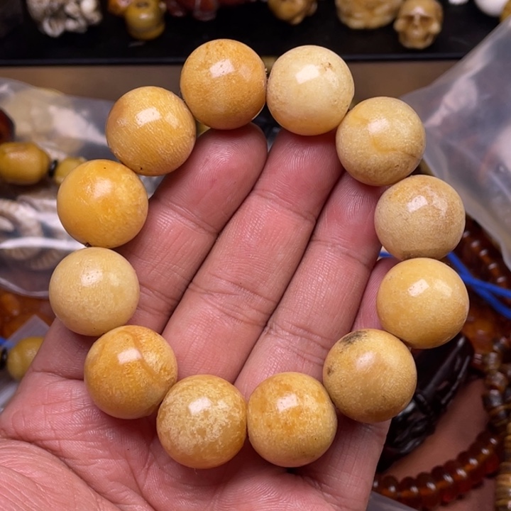 驼骨摆件人工养殖