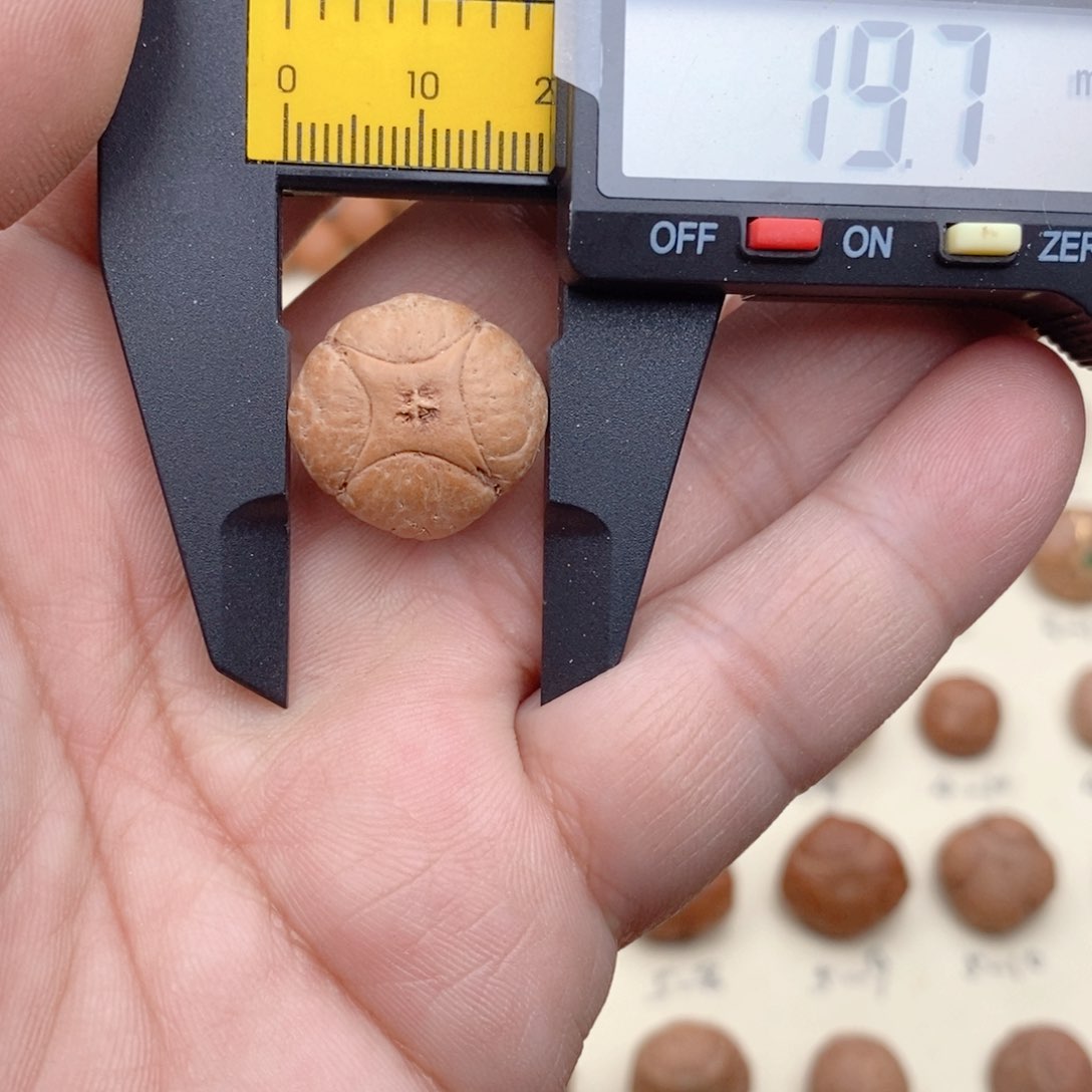 龙眼菩提吊坠开播福利麒麟