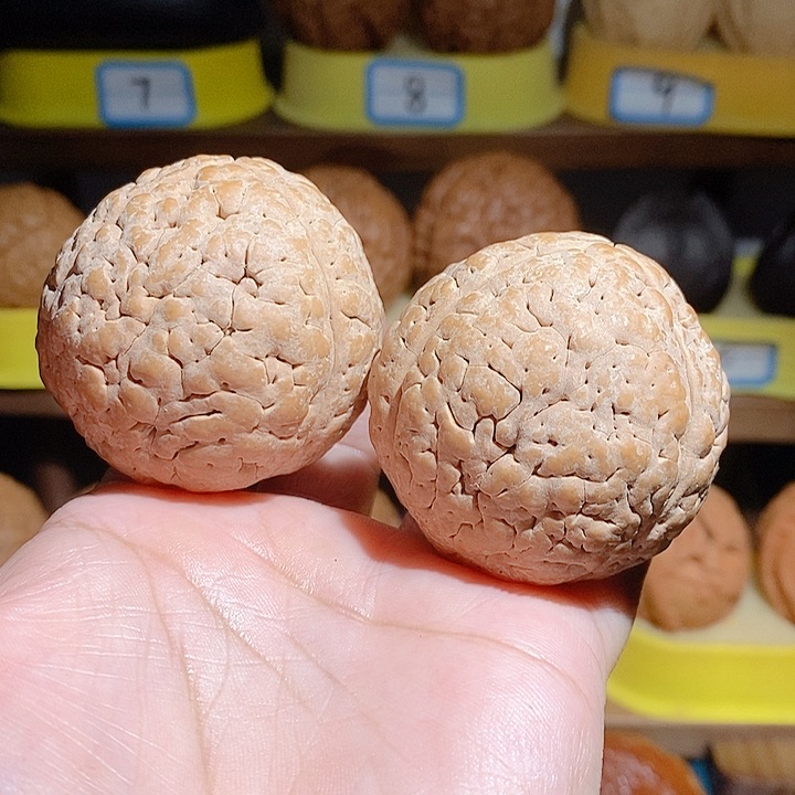 野生三瓣脑纹大金刚4749