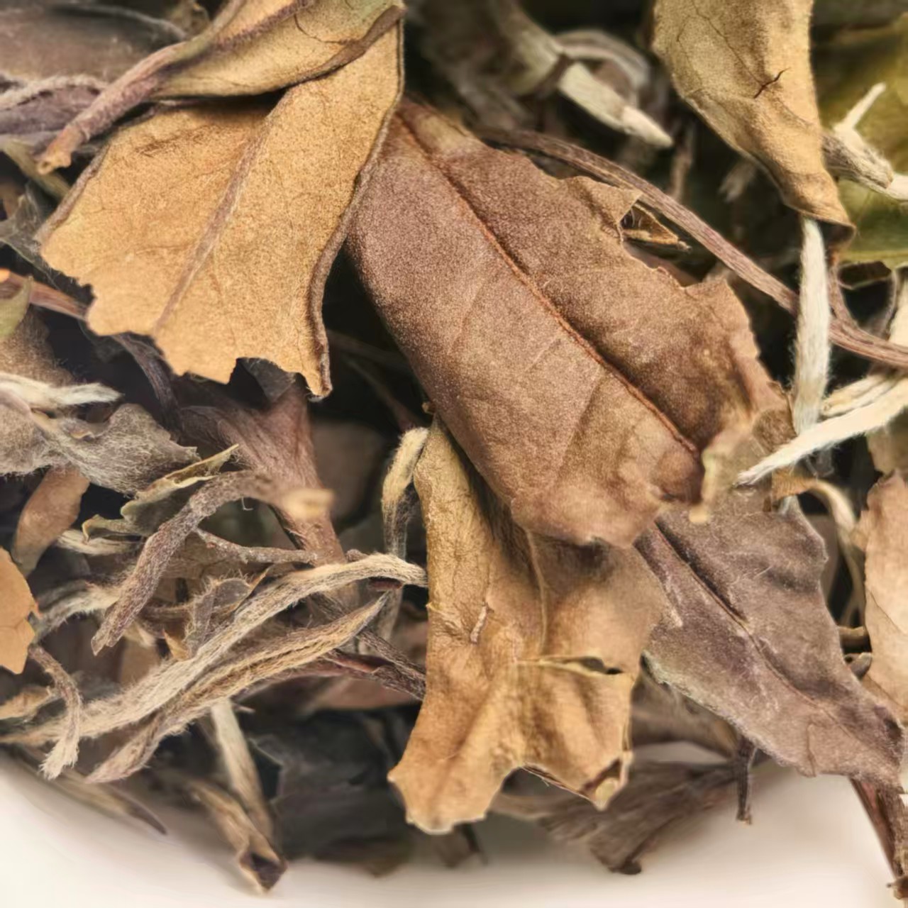 2016寿眉散茶果香枣香可闷泡煮的白茶