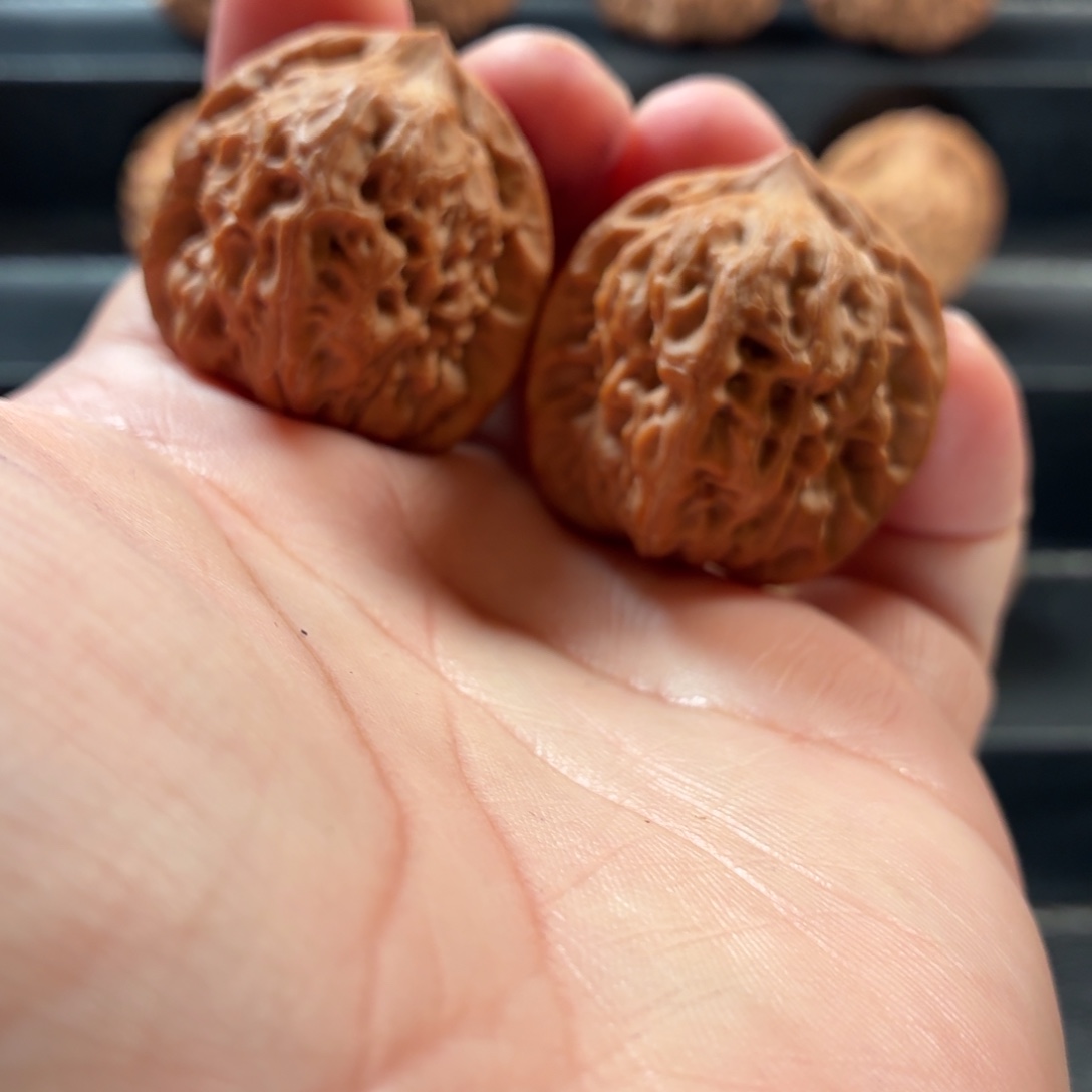 桃核把件蓟县山地白蛇谷35